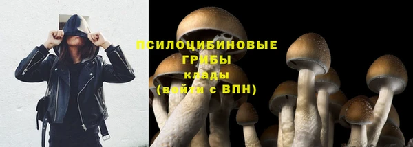 мяу мяу кристалл Покачи